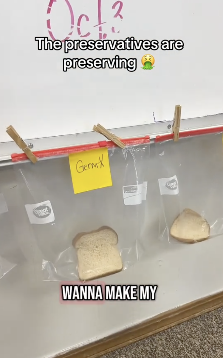 a science experiment with bread